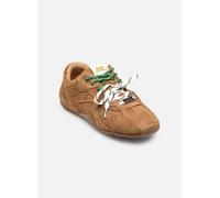 Steve Madden Asiel 36 Marrón