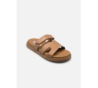 Steve Madden Missile 37 Marrón