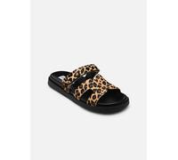 Steve Madden Missile 37 Multicolor