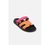 Steve Madden Missile 37 Multicolor