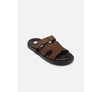 Steve Madden Missile 38 Marrón