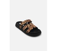 Steve Madden Missile 40 Multicolor