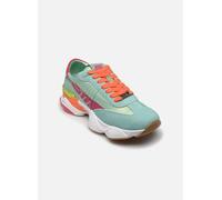 Steve Madden Setback-E 37 Multicolor