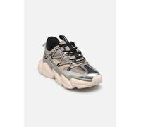 Steve Madden Spectator 37 Multicolor