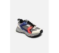 Steve Madden STANDOUT 38 Gris