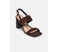 Steve Madden Wendie 40 Marrón