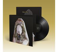 Steve Mason Brothers & Sisters (Vinyl) 12" Album (Importación USA)