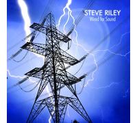 Steve Riley - Wired for Sound