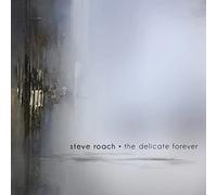 Steve Roach - The Delicate Forever