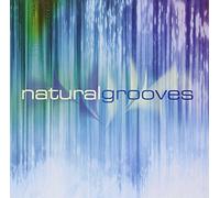Steve Wingfield - Natural Grooves CD