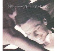 Steve Winwood - Back in the High Life (UK Import)