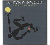 Steve Winwood - While You See A Chance -P/S