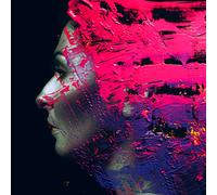Steven Wilson - Hand. Cannot. Erase.