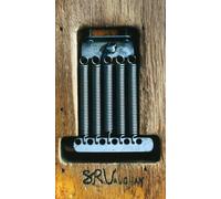 Stevie Ray Vaughan - S.R.V.(& Double Trouble)