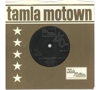 Stevie Wonder - He's Misstra Know It All - Solid