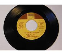 Stevie Wonder - You Are The Sunshine Of My Life