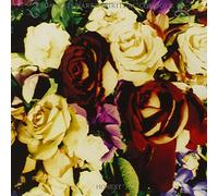 Stewart Dave - Honest