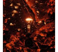 Stewart & Gaskin - The Big Idea [Import]