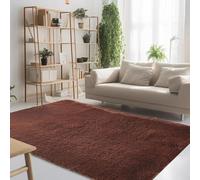 STGAO Alfombra Mullida 85 x 180 cm Diferentes Tamaños Alfombra Mullida para Dormitorio Sostenible para Comedor, Dormitorio, Pasillo y Habitación Juvenil, Marrón