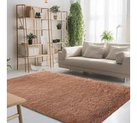 STGAO Alfombra Salon Grandes Shaggy 150 x 270 cm Diferentes Tamaños Alfombra Salon Peludo de Pelo sin Pérdida de Cabello Adecuado para Salón Dormitorio Sofá Suelo, Caqui