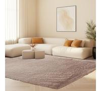 STGAO Alfombra Salon Grandes Shaggy 70 x 160 cm Diferentes Tamaños Alfombras Modernas Sostenible Adecuado para Salón Dormitorio Sofá Suelo, Beige