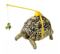 Stgfyxgs Correa para Tortuga Arnés para Tortuga Correa Barra Extensible con Mango Cuerda con Señuelo para Guiar Sujeción Estable del Caparazón Adecuada para, Negro, Negro Carbón