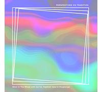 Stick In The Wheel - Presents Perspectives On Tradition