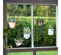 Stickers4-5 Pegatinas de ventana de planta colgante ilustradas - Adhesivos colgantes de ventana de maceta Pegatinas - Calcomanías de invernadero de doble cara - Sin adhesivo