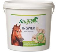 Stiefel Jengibre, Molido - 1 kg Stiefel