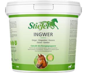 Stiefel Jengibre, Molido - 1 kg Stiefel