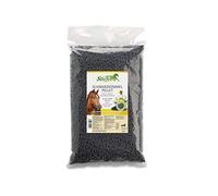 Stiefel Tarta de comino Negro 100% Natural para Apoyo a la Piel, Pelo, Sistema respiratorio, Sistema inmunológico y digestivo, 3 kg