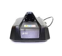 Cargador Estándar STIHL AL1 230 V Para Batería AS 2