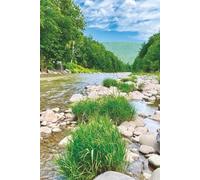 Still Earth - Spring Arc Vol. 1: Spring Bloom Arc - Renewed Light