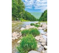 Still Earth - Spring Arc Vol. 1: Spring Bloom Arc - Renewed Light