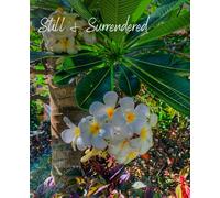 Still & Surrendered: A Journal for Letting Go, Trusting God & Finding Peace