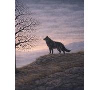 Still Wild - Lone Wolf: A Pencil & Pen Sketchbook Series