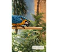 Still, You Shine: A Gentle Notebook for Quiet Confidence, Daily Joy, and Inner Light