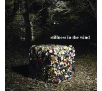 Stillness in the Wind