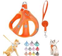 Stimulating Cat Harness Design for Outdoor Cats, Adjustable Soft Mesh Vest-Style Harness with Reflective Safety Straps, Adjustable,Allowing Cats to Safe and Stress-Free (Orange,L)