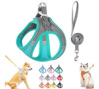 Stimulating Cat Harness Design for Outdoor Cats, Adjustable Soft Mesh Vest-Style Harness with Reflective Safety Straps, Adjustable,Allowing Cats to Safe and Stress-Free (Green,XXS)