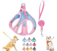 Stimulating Cat Harness Design for Outdoor Cats, Adjustable Soft Mesh Vest-Style Harness with Reflective Safety Straps, Adjustable,Allowing Cats to Safe and Stress-Free (Pink Blue,L)
