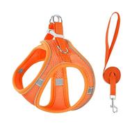 Stimulicat Cat Harness-2025 Upgraded Escape Proof Step-in Mesh Vest with Reflective Strips, Outdoor Explorer Walking Harness (Orange,XXXS 0.5-1.5kg)