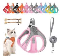 Stimulicat Cat Harness, Stimuli Cat Harness and Leash Set Escape Proof, Adjustable Soft Mesh Pet Vests with Reflective Safety Strips, Anti-Strangulation, Anti-Pull (#3,XXXS)