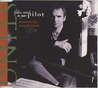 Sting - Let Your Soul Be Your Pilot(4remix)
