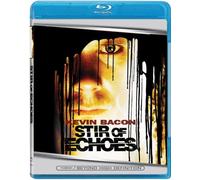 Stir of Echoes