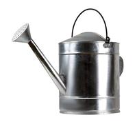 STJNFCY Regadera Metálica - Galvanizada de Calidad 5L/7L/10L/12L/15L/18L Gran Capacidad, Resistente Anti Óxido, Regadera Desmontable, para Grandes Jardines Pequeños Flores y Plantas,10L