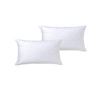 STM32 by ST Relleno de Cojín 2/4/6 Unidades, Fibra Hueca de Alta Recuperación, Super Suaves, Mullidos, Antialérgicos, Indeformable, Esponjoso, Ideales para Sofás, Sillones, Camas o Coche.(2, 40X60)