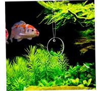 STOBAZA 2 Juegos Espejos Acrílicos para Entrenamiento de Bettas con Ventosas Fuertes Compactos y Seguros Accesorios para Tanques de Peces Que Promueven Comportamientos Saludables