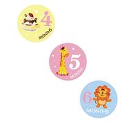 STOBOK 12piezas Stickers De Meses para Bebés Pegatinas Adhesivas para Recién Nacidos Decoración De Fotografía Mensual para Momentos Especiales