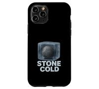 Stone Cold Literal Inglés Mayor Gracioso Gramática Humor Estudiante Carcasa para iPhone 11 Pro